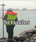 Servicios